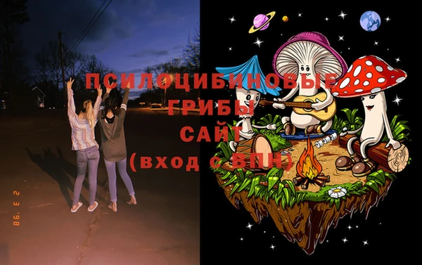 круглые Карталы