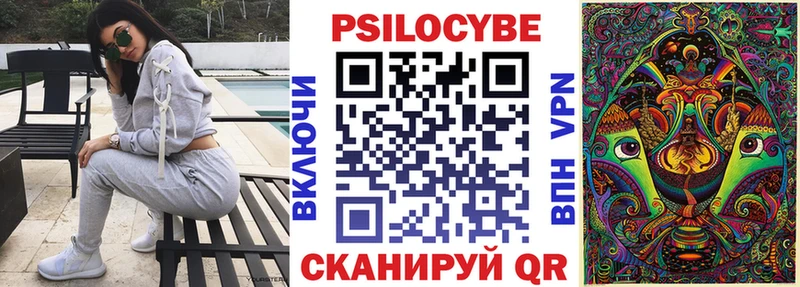 Псилоцибиновые грибы Cubensis  Купить где  Зеленокумск 